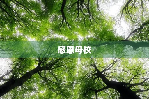 感恩母校，谢谢您老师