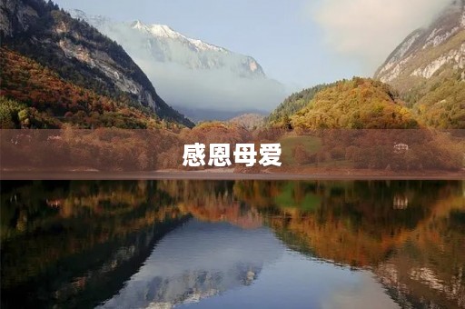 感恩母爱，献上我的心意——周记母亲节