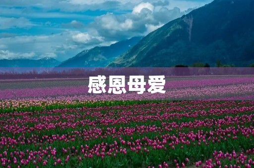 感恩母爱,献上节日祝福 感恩母爱,献上节日祝福