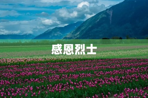 感恩烈士，铭记历史——参观烈士陵园