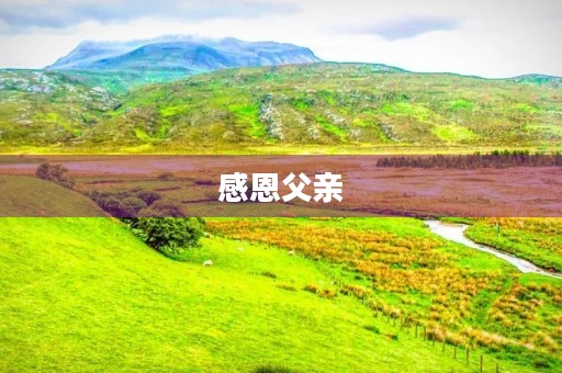 感恩父亲，父亲节快乐！