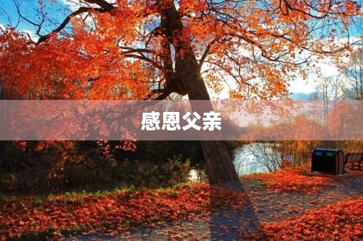 感恩父亲,用心呵护 感恩父亲,用心呵护