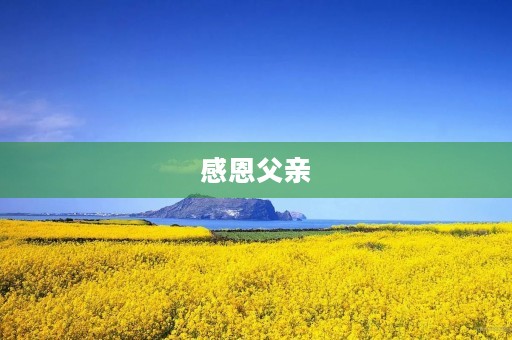 感恩父亲，祝父亲节快乐
