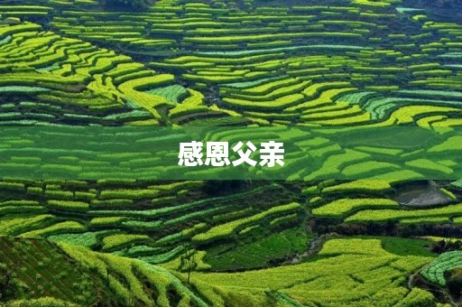 感恩父亲