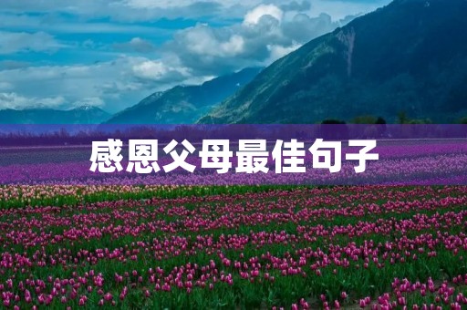感恩父母最佳句子(感恩父母最佳句子简短) 感恩父母最佳句子(感恩父母最佳句子简短)