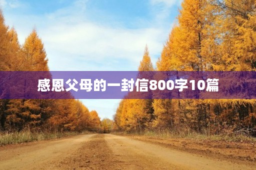 感恩父母的一封信800字10篇