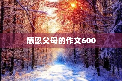 感恩父母的作文600 感恩父母的作文600