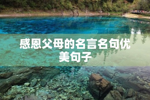 感恩父母的名言名句优美句子，感恩父母的名言名句优美句子摘抄