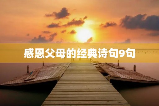 感恩父母的经典诗句9句(感恩父母的经典诗句9句简短)