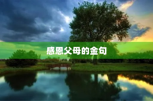 感恩父母的金句，感恩父母的金句良言