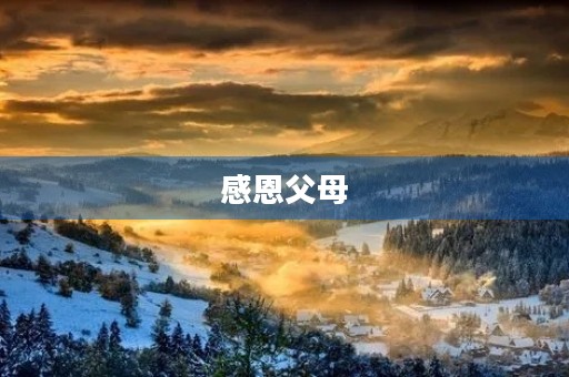 感恩父母，从小学生做起