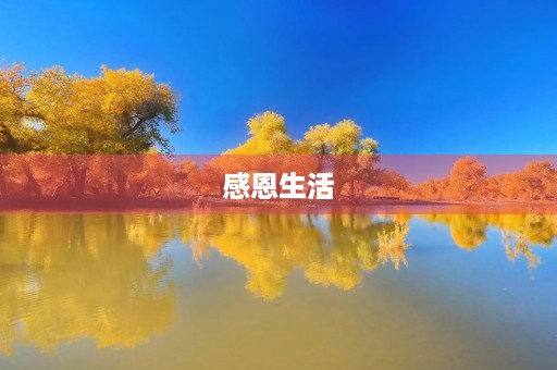 感恩生活,从小学生做起 感恩生活,从小学生做起