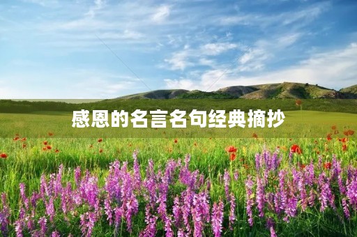 感恩的名言名句经典摘抄(感恩的名言名句经典摘抄语段)