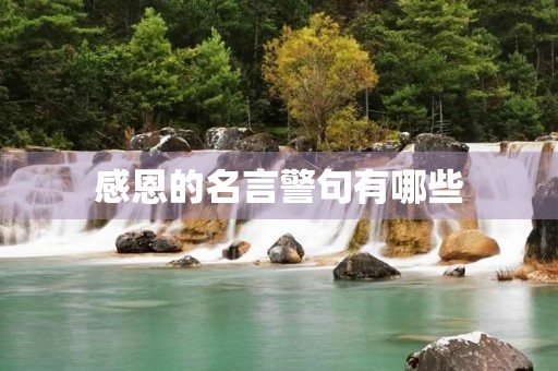感恩的名言警句有哪些(感恩的名言警句有哪些感恩诗歌)