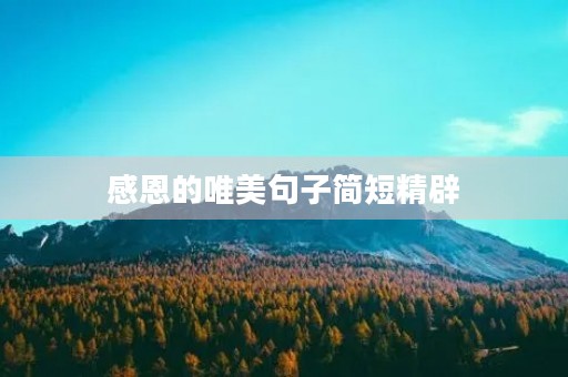 感恩的唯美句子简短精辟，感恩的唯美句子简短精辟老师