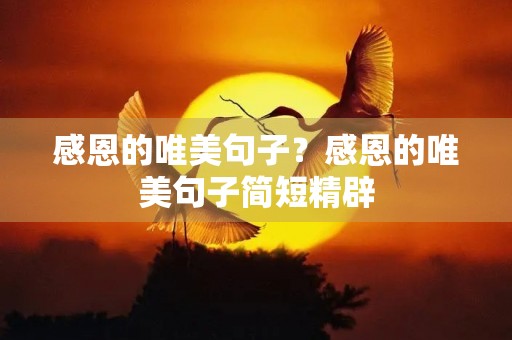 感恩的唯美句子？感恩的唯美句子简短精辟