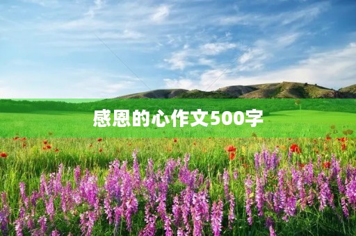 感恩的心作文500字