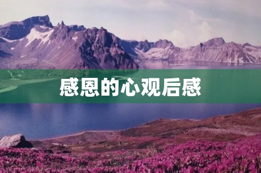 感恩的心观后感