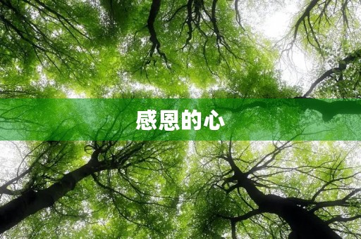 感恩的心,感谢有你 感恩的心,感谢有你