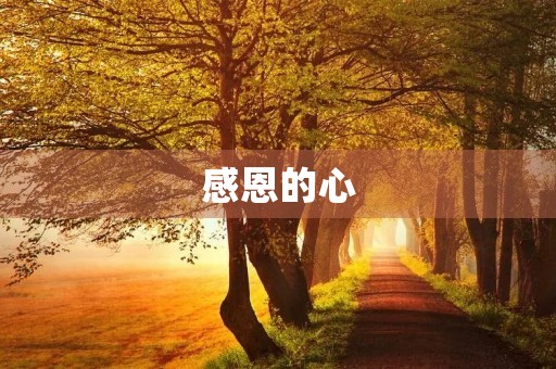 感恩的心,让我们更加自信 感恩的心,让我们更加自信
