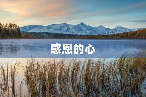 感恩的心,让我们更美好 感恩的心,让我们更美好