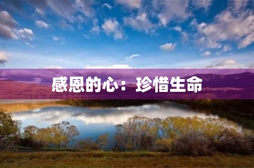 感恩的心：珍惜生命，感恩有你