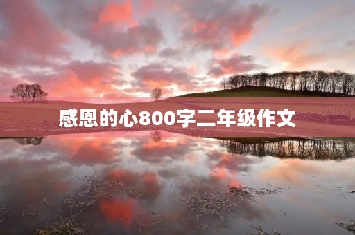 感恩的心800字二年级作文