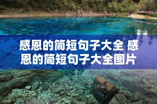 感恩的简短句子大全 感恩的简短句子大全图片 感恩的简短句子大全 感恩的简短句子大全图片