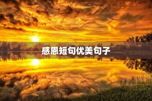 感恩短句优美句子，感恩短句优美句子摘抄