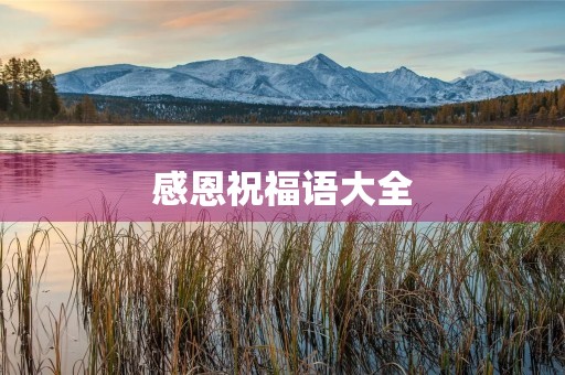 感恩祝福语大全(感恩励志语句)