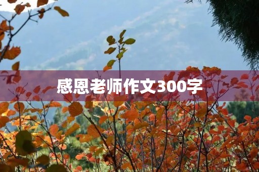 感恩老师作文300字