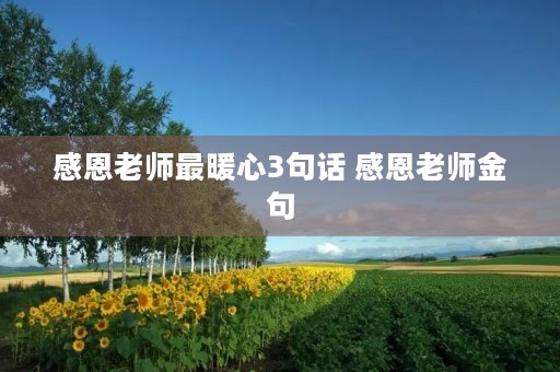 感恩老师最暖心3句话 感恩老师金句 感恩老师最暖心3句话 感恩老师金句