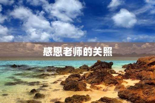 感恩老师的关照