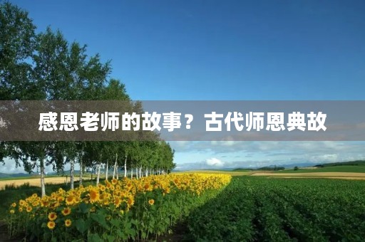 感恩老师的故事？古代师恩典故