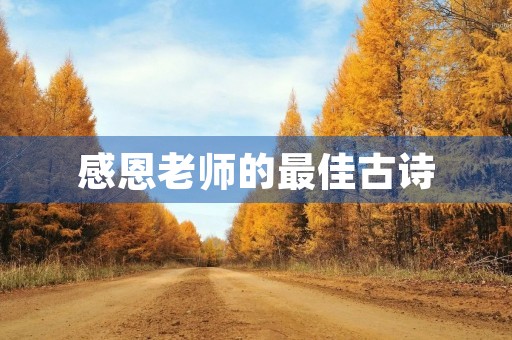 感恩老师的最佳古诗(感恩老师的最佳古诗词42句话)