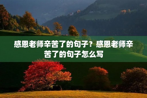 感恩老师辛苦了的句子?感恩老师辛苦了的句子怎么写 感恩老师辛苦了的句子?感恩老师辛苦了的句子怎么写