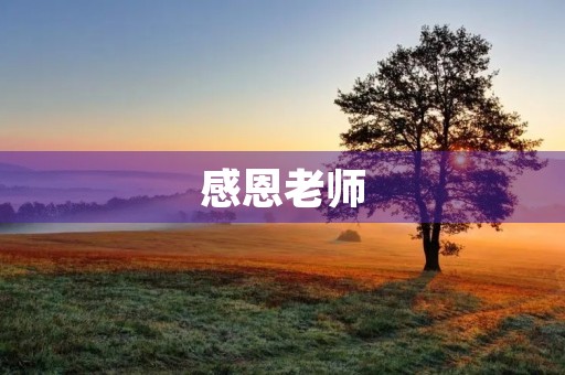感恩老师,他们是我们的明灯 感恩老师,他们是我们的明灯