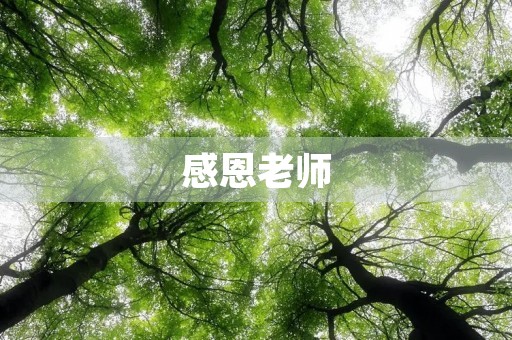 感恩老师,感恩有您的陪伴 感恩老师,感恩有您的陪伴