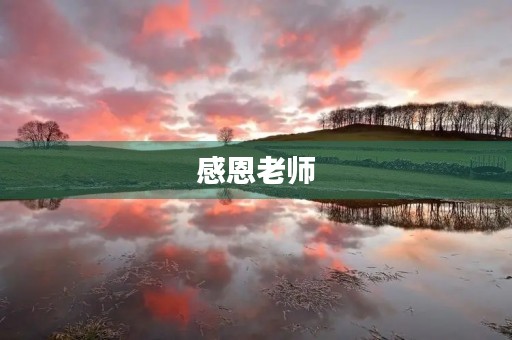 感恩老师，致敬师德