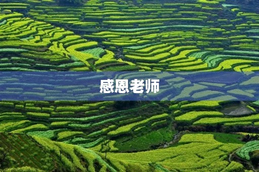 感恩老师，让我们更加快乐成长