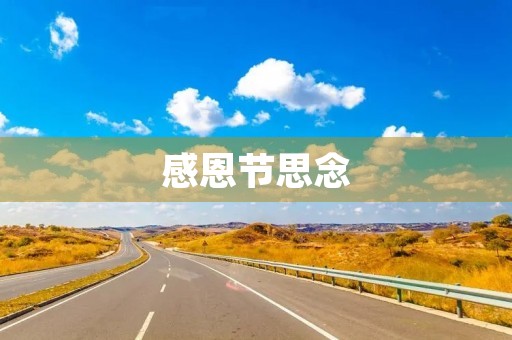感恩节思念