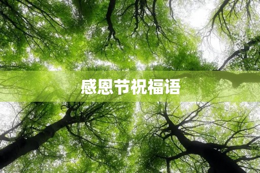感恩节祝福语(感恩的语句有哪些)