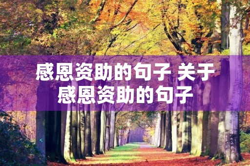 感恩资助的句子 关于感恩资助的句子