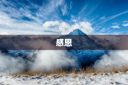 感恩，珍惜当下的一切