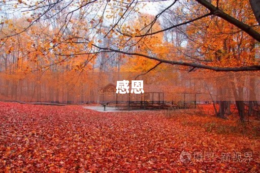 感恩,让我们更幸福 感恩,让我们更幸福