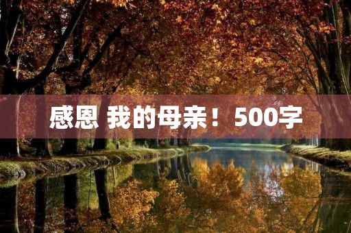 感恩 我的母亲！500字