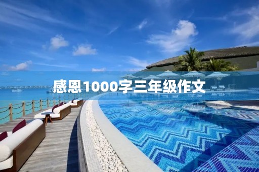 感恩1000字三年级作文