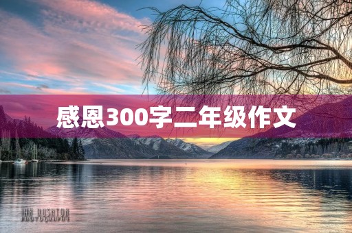 感恩300字二年级作文
