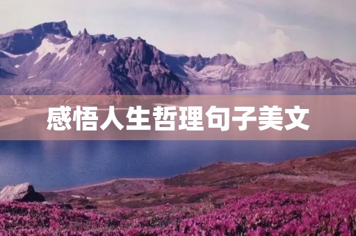 感悟人生哲理句子美文，感悟人生励志哲理句子