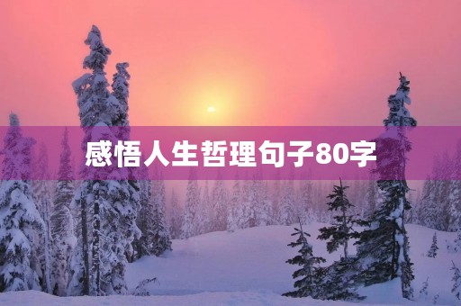 感悟人生哲理句子80字(感悟人生励志哲理句子)